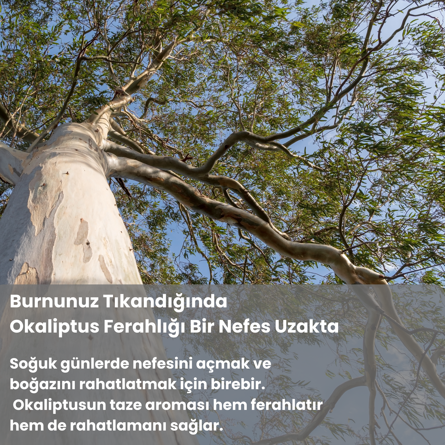 Rahatlatıcı Aromaterapi Spreyi 50ml