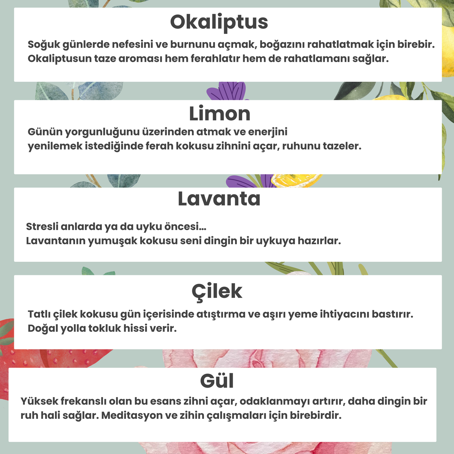 Aromaterapi Burun Aparatı